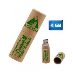 USB Tubo de Carton 4GB