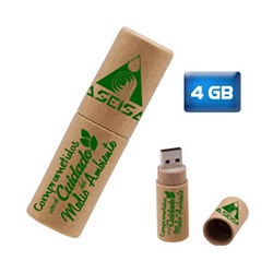 USB Tubo de Carton 4GB