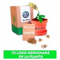 Maceta PLASTIKA con SEMILLA MÁGICA